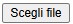 Scegli file