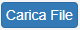CaricaFile.png